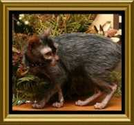 aquariusphynx.com Ulrica