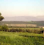 Uludag