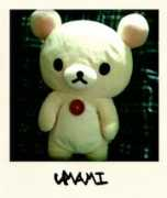 Umami