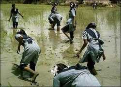 news.bbc.co.uk Umarani