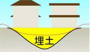 Umedo