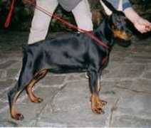 artgauguin.narod.ru Umnitsa