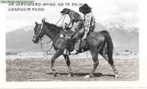 duiops.net Unamigo