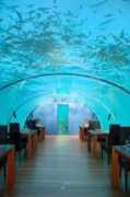 Undersea