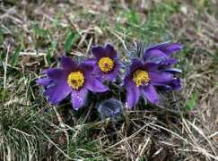 homepage.uibk.ac.at Unterasinger