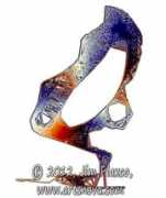 artsnova.com Untied
