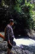 Unyang