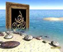 muslimvideo.com Uqbah