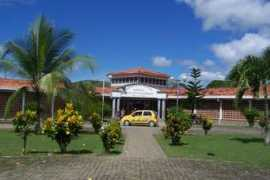 Uraba