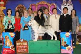 thailanddogshow.com Uracha