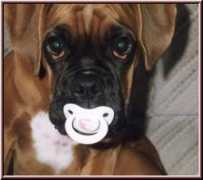 huelsenbecke.de Uranka