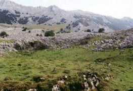 Urbia