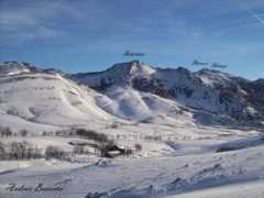 Urbia