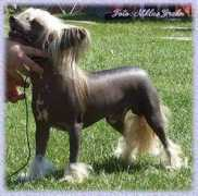 Urian