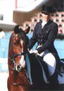 trickponies.net Uset