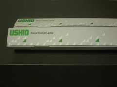 Ushio