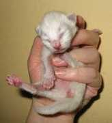 at.fotoalbum.eu Usich