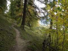 wandersite.ch Usser