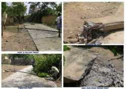 treefoundationindia.org Uthandi