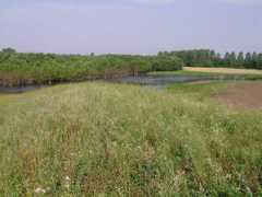 photo-gallery.dk Vaad