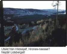 Vaalen