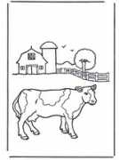 Vache