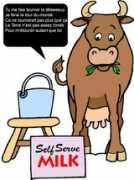 Vache