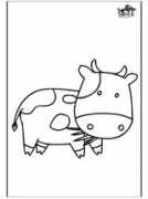 Vache