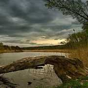 photoforum.ru Vadlen