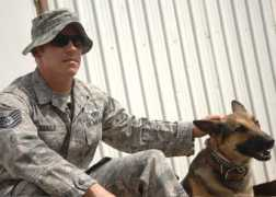 thedogfiles.com Vahalik