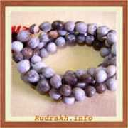 rudraksh.info Vaijanti