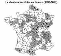 Vaissaire