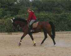 photos-of-horses.wbs.cz Valanie