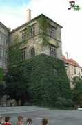 Valech