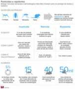 g1.globo.com Valendo