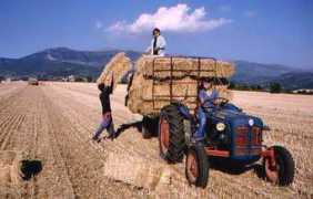 valensole.galerie.free.fr Valenso