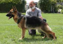 headsvalleygsdclub.co.uk Valesta