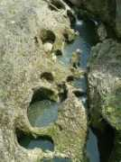 Valey