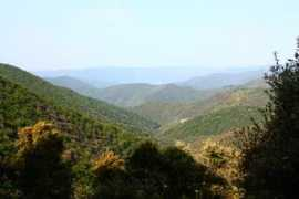 Vallat