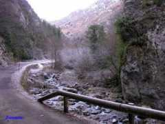 lecolebuissonniere.eu Vallons