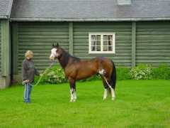 circlemfarm.dk Valmen