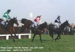 jumping4fun.co.uk Valnic