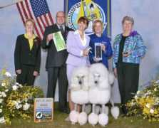 poodledog.com Valri