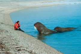 getglobaltravel.com Valross