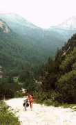Valsal