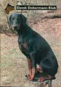 dobermann-review.com Vandersen