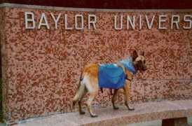 Vandy