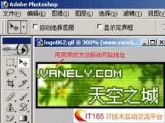 it165.net Vanely