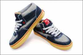 Vansin