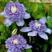 gardencrossings.com Vanso